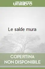 Le salde mura Spedito Oggi