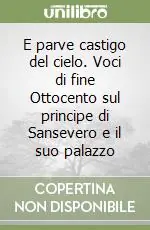 Bestseller E parve castigo del cielo. Voci di fine Ottocento sul principe di Sansevero e il suo palazzo