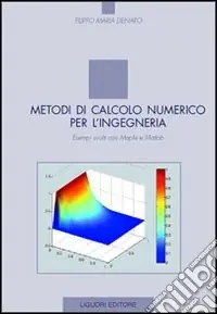 Metodi di calcolo numerico per l‘ingegneria. Esempi svolti con Maple e Matlab Più Venduto