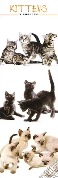 Occasione Imperdibile Kittens. Calendario 2005 lungo