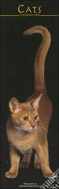 Cats. Calendario 2005 lungo Prezzo Di Fabbrica