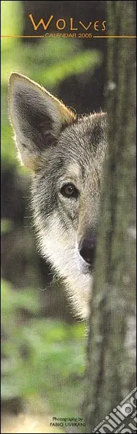 Prezzo Basso Wolves. Calendario 2005 lungo