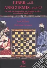 Liber Aneguemis Ultime Pezzi