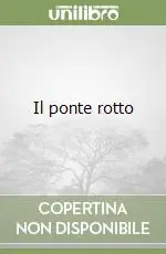 Professionale Il ponte rotto