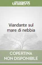 Promozione Viandante sul mare di nebbia