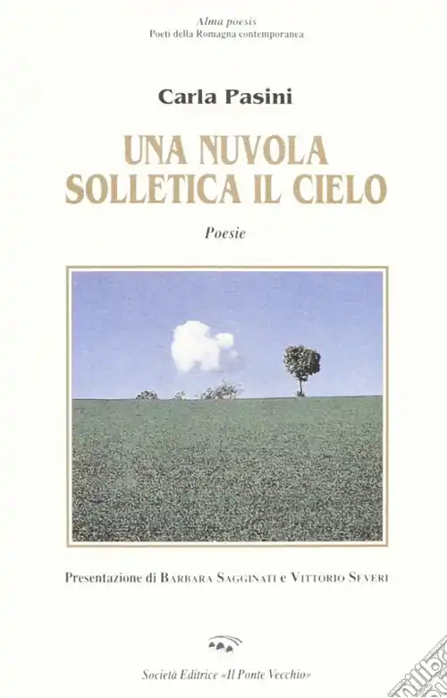 Scelto Dai Clienti Una nuvola solletica il cielo
