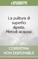Must-Have La pulitura di superfici dipinte. Metodi acquosi