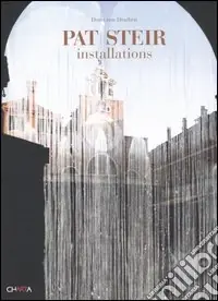 Professionale Pat Steir. Installations