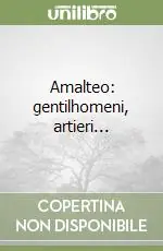 Professionale Amalteo gentilhomeni, artieri...