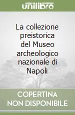 La collezione preistorica del Museo archeologico nazionale di Napoli Professionale