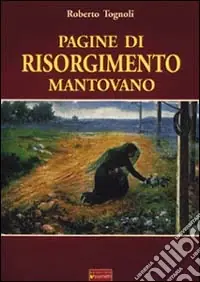 Miglior Prezzo Pagine di Risorgimento mantovano
