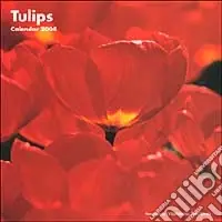 Più Venduto Tulips. Calendario 2004