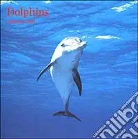 Dolphins. Calendario 2004 Prezzo Basso