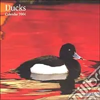Offerta Speciale Ducks. Calendario 2004