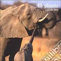 Elephants. Calendario 2004 Promozione Esclusiva