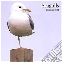 Non Perdere Seagulls. Calendario 2004