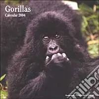Solo Oggi Gorillas. Calendario 2004