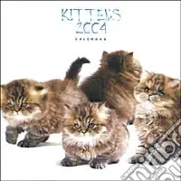 Kittens. Calendario 2004 Offerta Speciale
