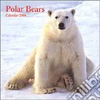 Esclusivo Polar bears. Calendario 2004