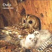 Promozione Owls. Calendario 2004