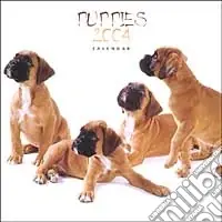 Spedizione Espresso Puppies. Calendario 2004