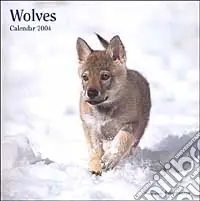 Wolves. Calendario 2004 Acquista Ora