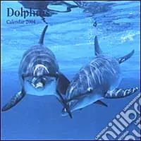 Dolphins. Calendario 2004 piccolo Compra Adesso