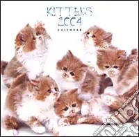 Kittens. Calendario 2004 piccolo Offerta Lampo