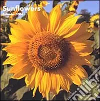 Sunflowers. Calendario 2004 piccolo Popolare