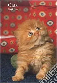 Affare Cats. Agenda 2004