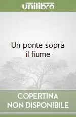 Un ponte sopra il fiume Offerta Lampo
