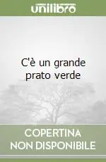 Professionale C‘è un grande prato verde