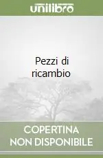 Pezzi di ricambio Spedizione Espresso