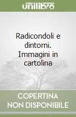 Ultime Pezzi Radicondoli e dintorni. Immagini in cartolina