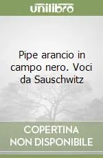 Pipe arancio in campo nero. Voci da Sauschwitz Esclusivo
