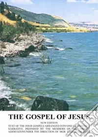 The gospel of Jesus Offerta Del Giorno