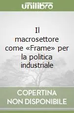 Miglior Prezzo Il macrosettore come «Frame» per la politica industriale