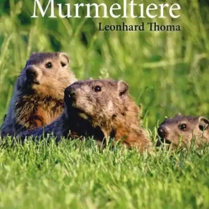 Spedito Oggi Murmeltiere. Livello B1
