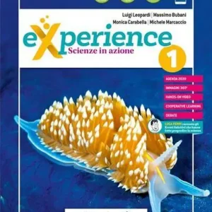 Acquista Ora Experience. Per la Scuola media. Con e-book vol. 2