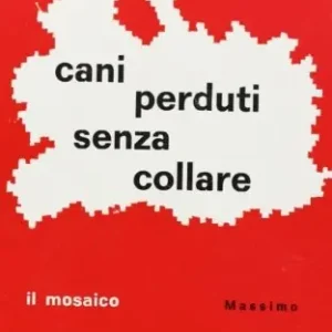 Professionale Cani perduti senza collare