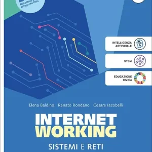Internetworking. Sistemi e reti. Per Le Scuole superiori. Con e-book. Con espansione online vol. 2 Occasione