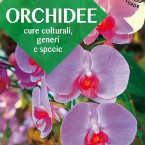 Ultimissimo Modello Orchidee Cure colturali, generi e specie
