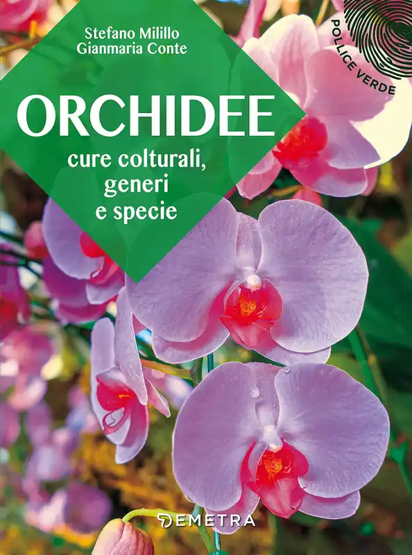 Ultimissimo Modello Orchidee Cure colturali, generi e specie