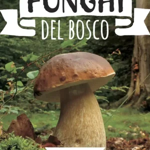 Offerta Del Giorno Funghi del bosco