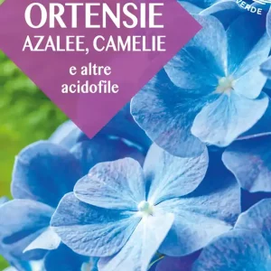 Prezzo Conveniente Ortensie, azalee, camelie e altre acidofile