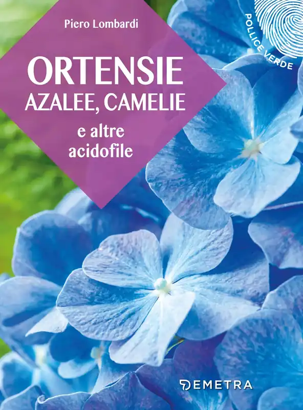 Prezzo Conveniente Ortensie, azalee, camelie e altre acidofile
