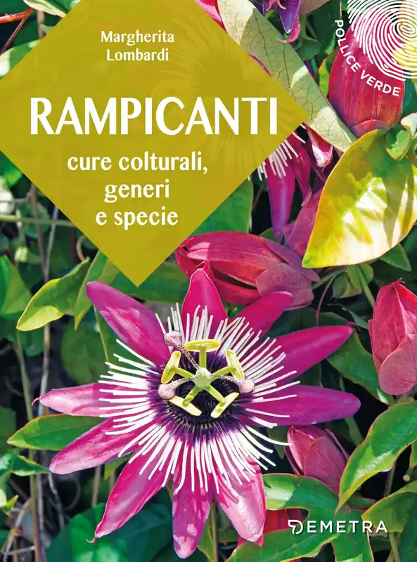 Rampicanti Cure colturali, generi e specie Ultimissimo Modello