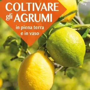 Coltivare gli agrumi in piena terra e in vaso Esclusivo