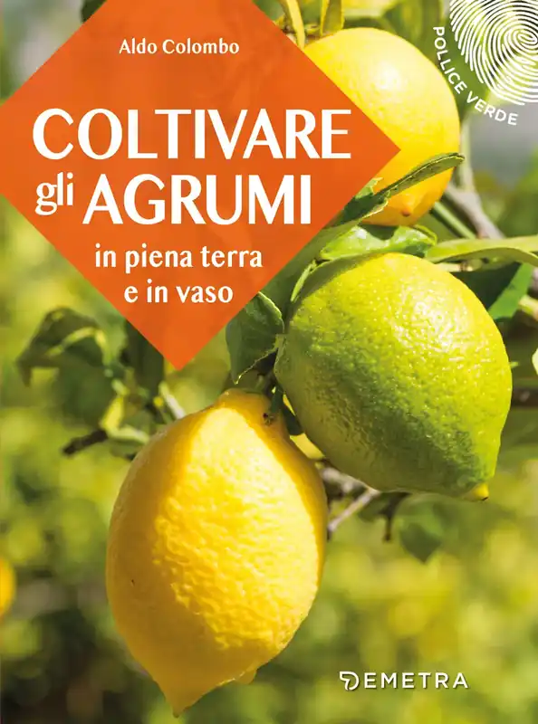 Coltivare gli agrumi in piena terra e in vaso Esclusivo