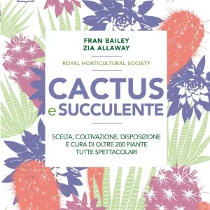 Prezzo Conveniente Cactus e succulente